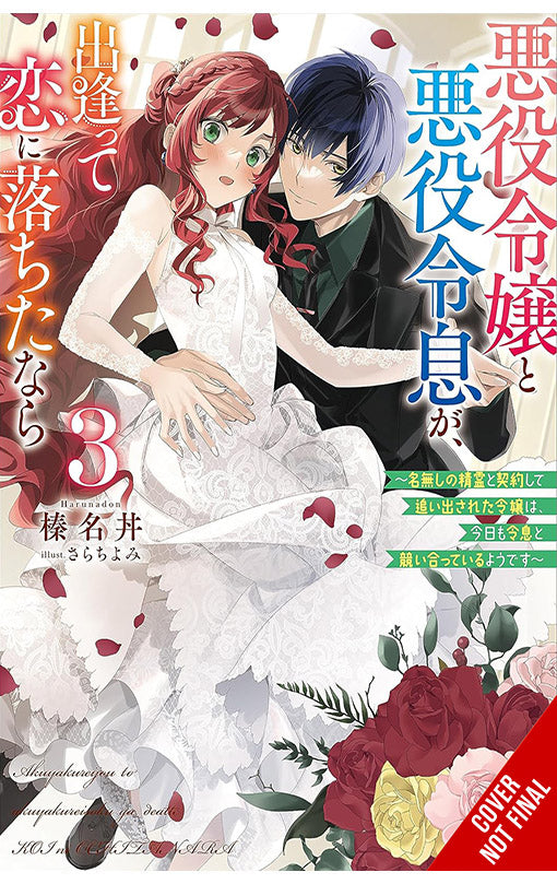 If the Villainess and Villain Met and Fell in Love vol 03 (light novel)