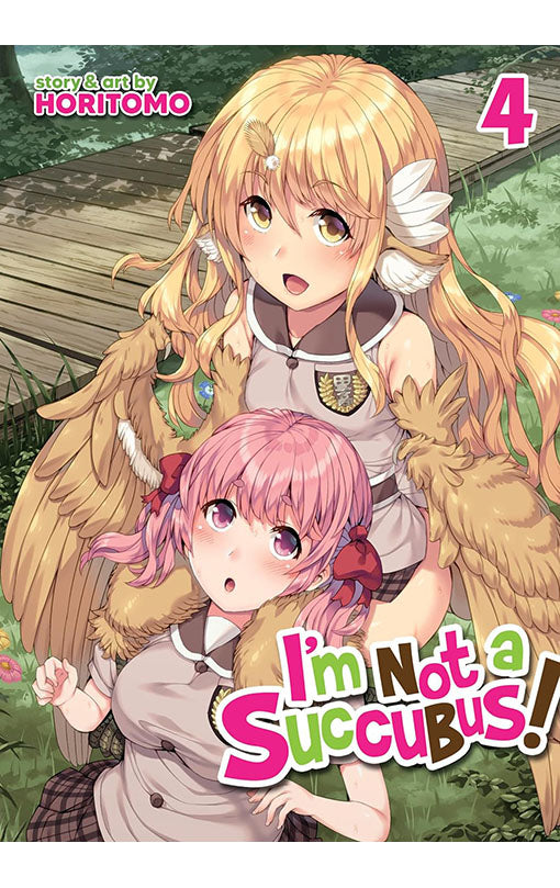 I'm Not a Succubus vol 04