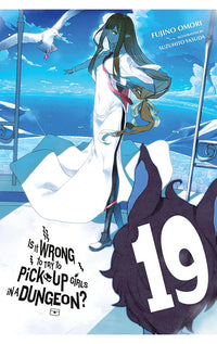 Is It Wrong to Try to Pick Up Girls in a Dungeon vol 19 Light Novel