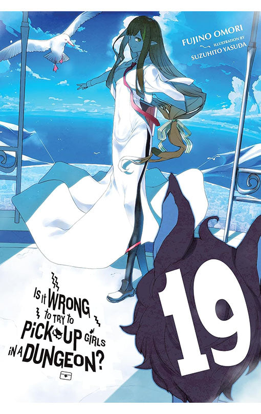 Is It Wrong to Try to Pick Up Girls in a Dungeon vol 19 Light Novel