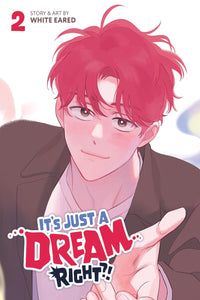 It's Just a Dream... Right?! vol 02 (comic)