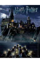 Jigsaw Puzzle - World of Harry Potter (550 pieces)