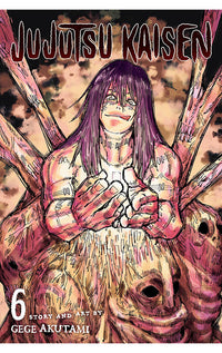 Jujutsu Kaisen vol 06