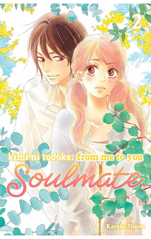 Kimi ni Todoke From Me to You Soulmate vol 02