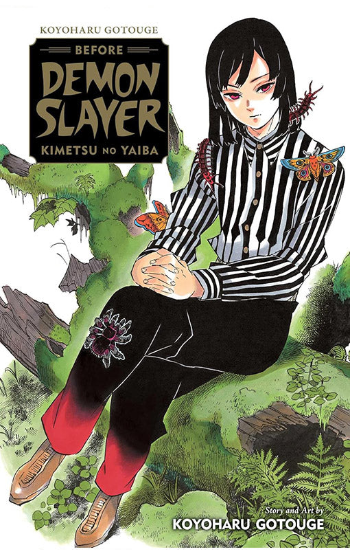 Before Demon Slayer Kimetsu no Yaiba