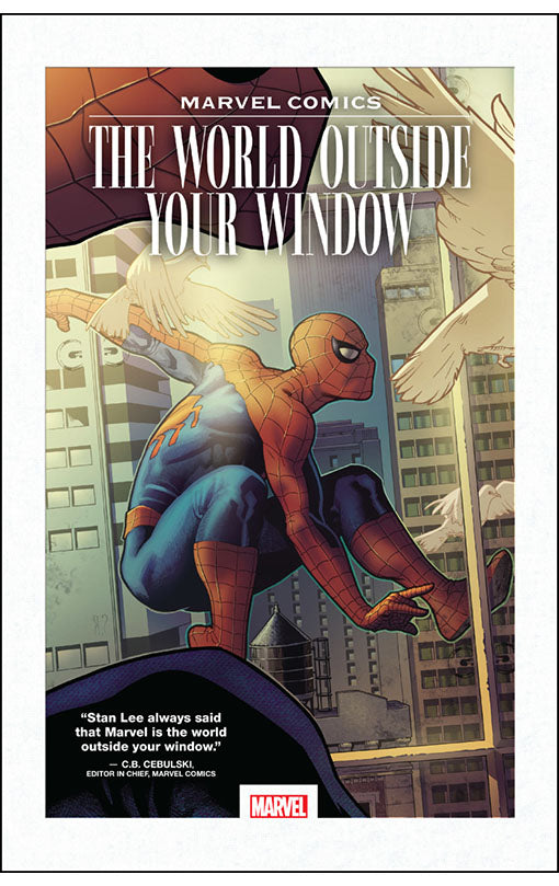 Marvel Comics: The World Outside Your Window HC