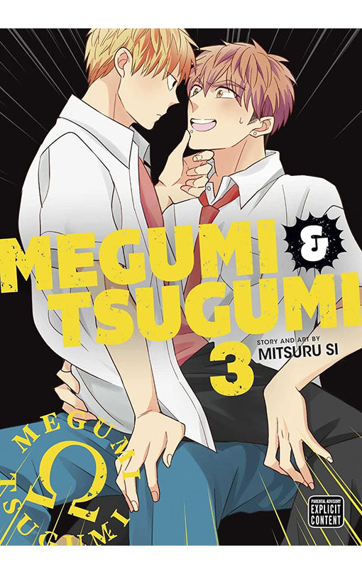 Megumi & Tsugumi vol 03
