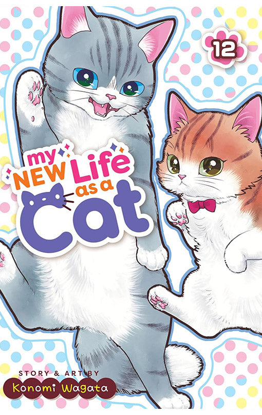 My New Life as a Cat vol 12