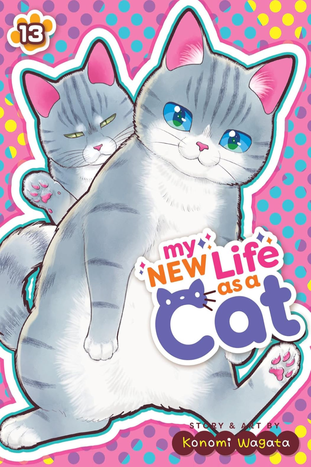 My New Life as a Cat vol 13