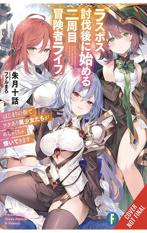 New Game Plus after Defeating the Last Boss vol 01 (light novel)