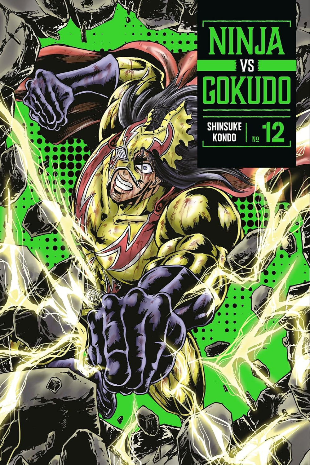 Ninja vs Gokudo vol 12