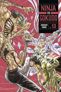Ninja vs Gokudo vol 13