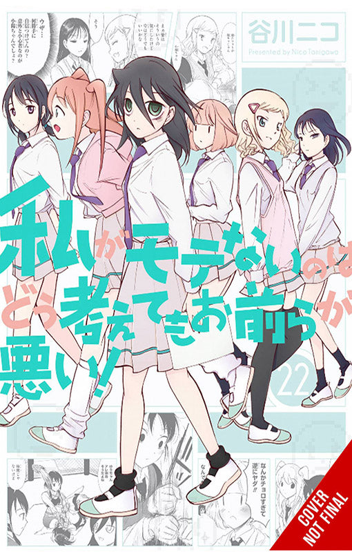 No Matter How I Look at It It's You Guys' Fault I'm Not Popular vol 22
