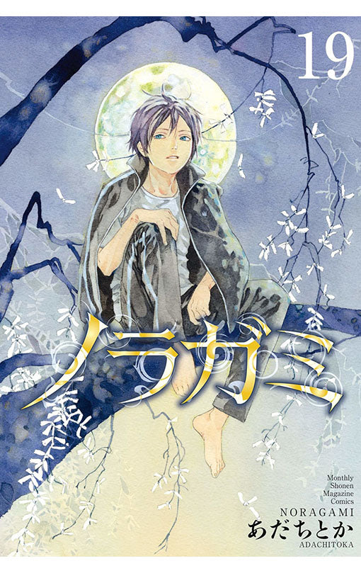 Noragami: Stray God vol 19