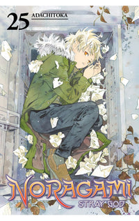 Noragami: Stray God vol 25