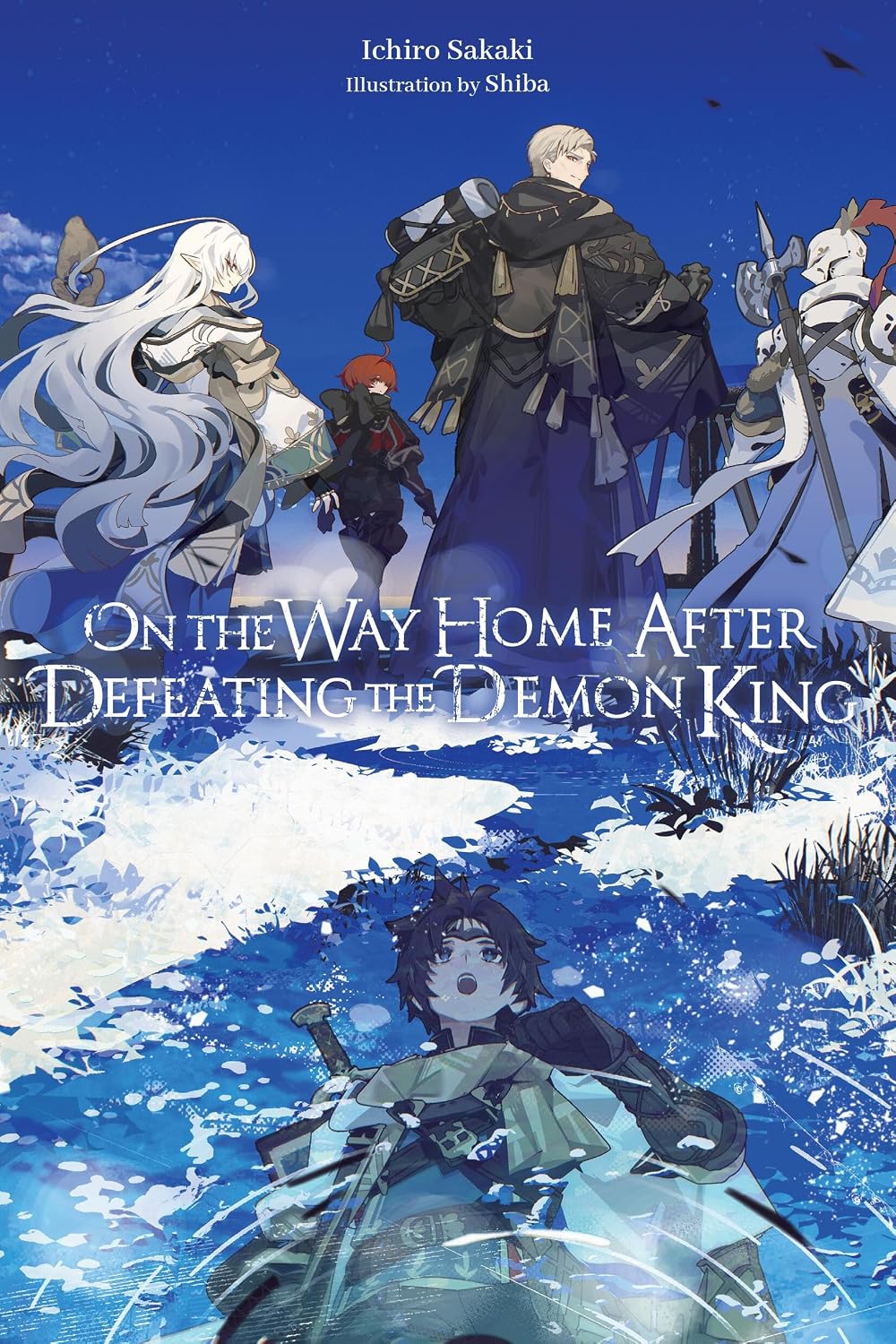On the Way Home After Defeating the Demon King (light novel)