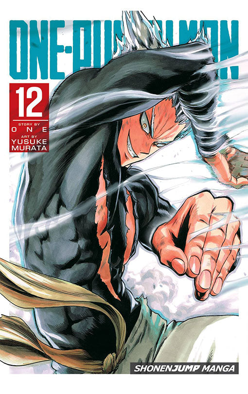 One Punch Man vol 12