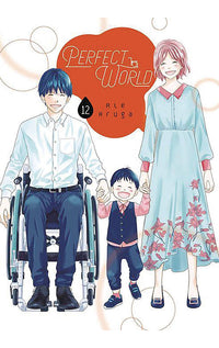 Perfect World vol 12