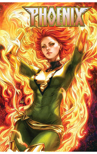 Phoenix The Death &amp; Rebirth of Jean Grey Omnibus hardcover
