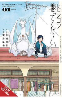 Please Look After the Dragon vol 01