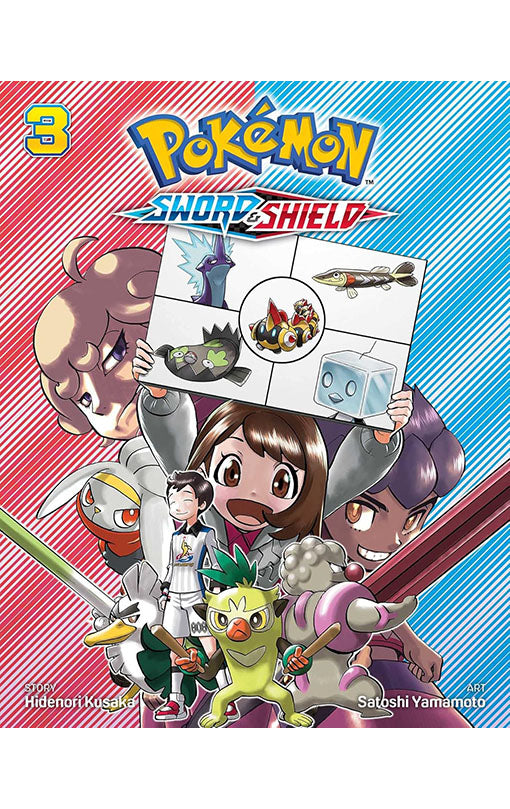 Pokemon Sword &amp; Shield vol 03