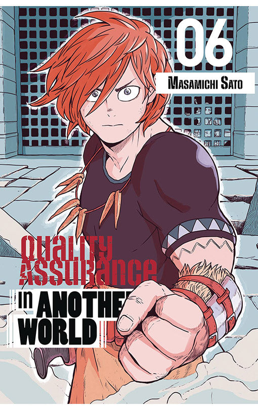 Quality Assurance in Another World vol 06