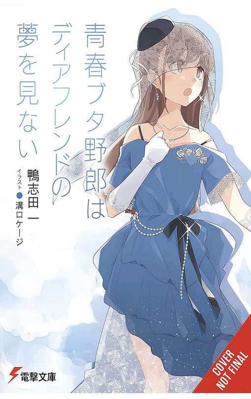 Rascal Does Not Dream of Dear Friend (light novel)