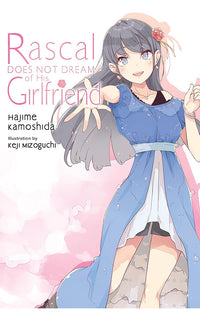 Rascal Does Not Dream of His Girlfriend (light novel)