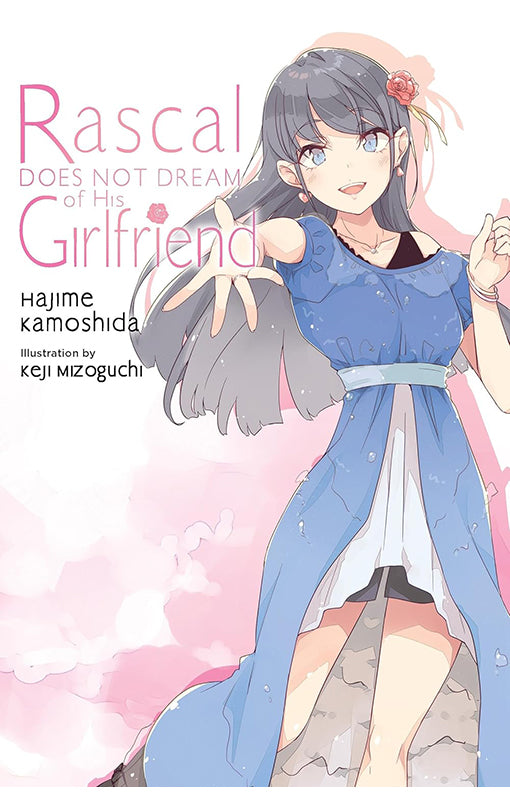 Rascal Does Not Dream of His Girlfriend (light novel)