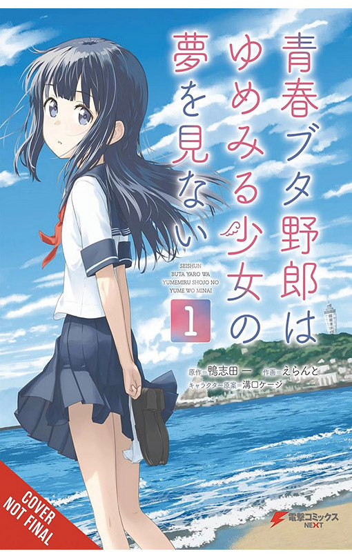 Rascal Does Not Dream of a Dreaming Girl