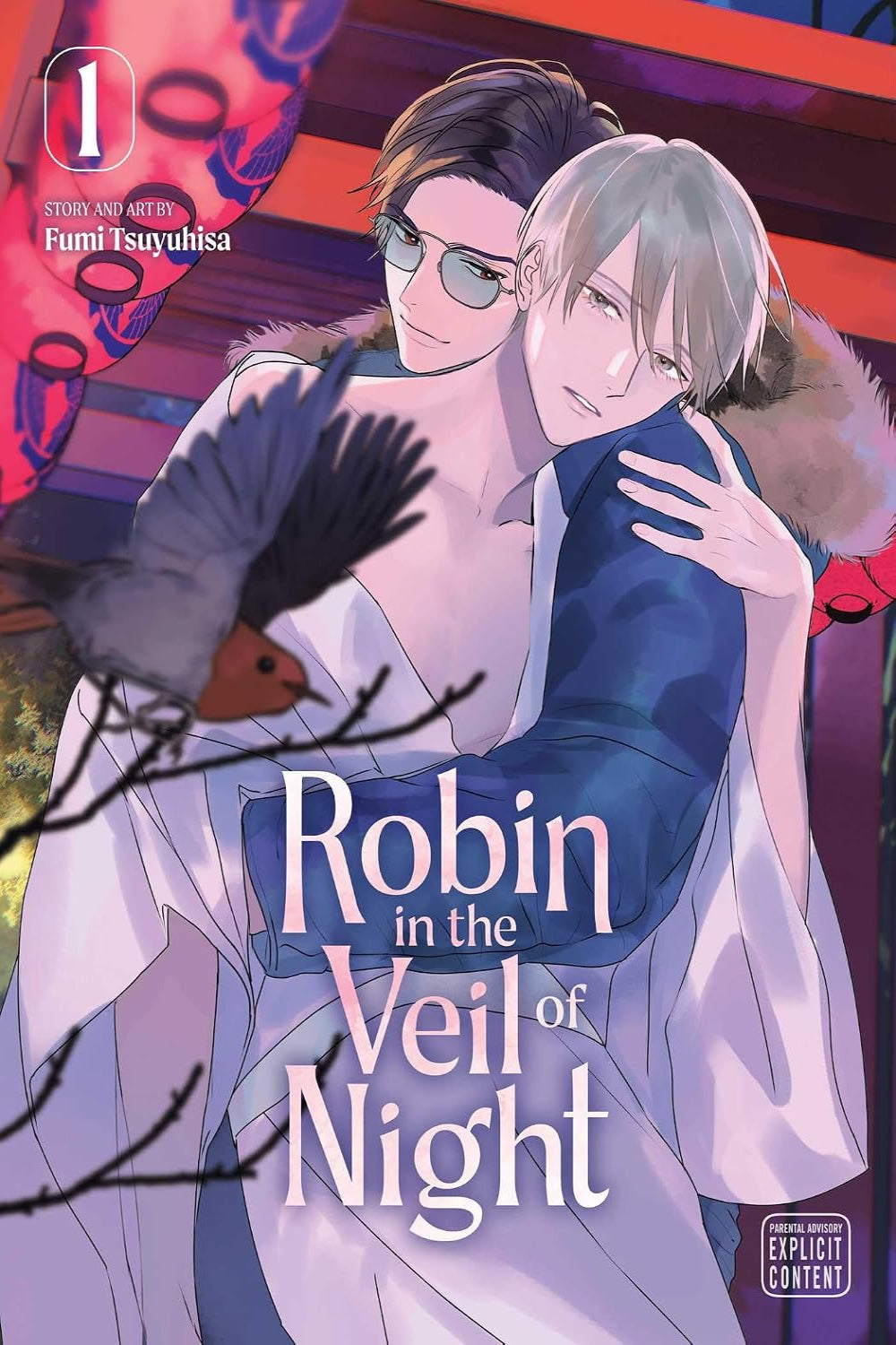 Robin in the Veil of Night vol 01
