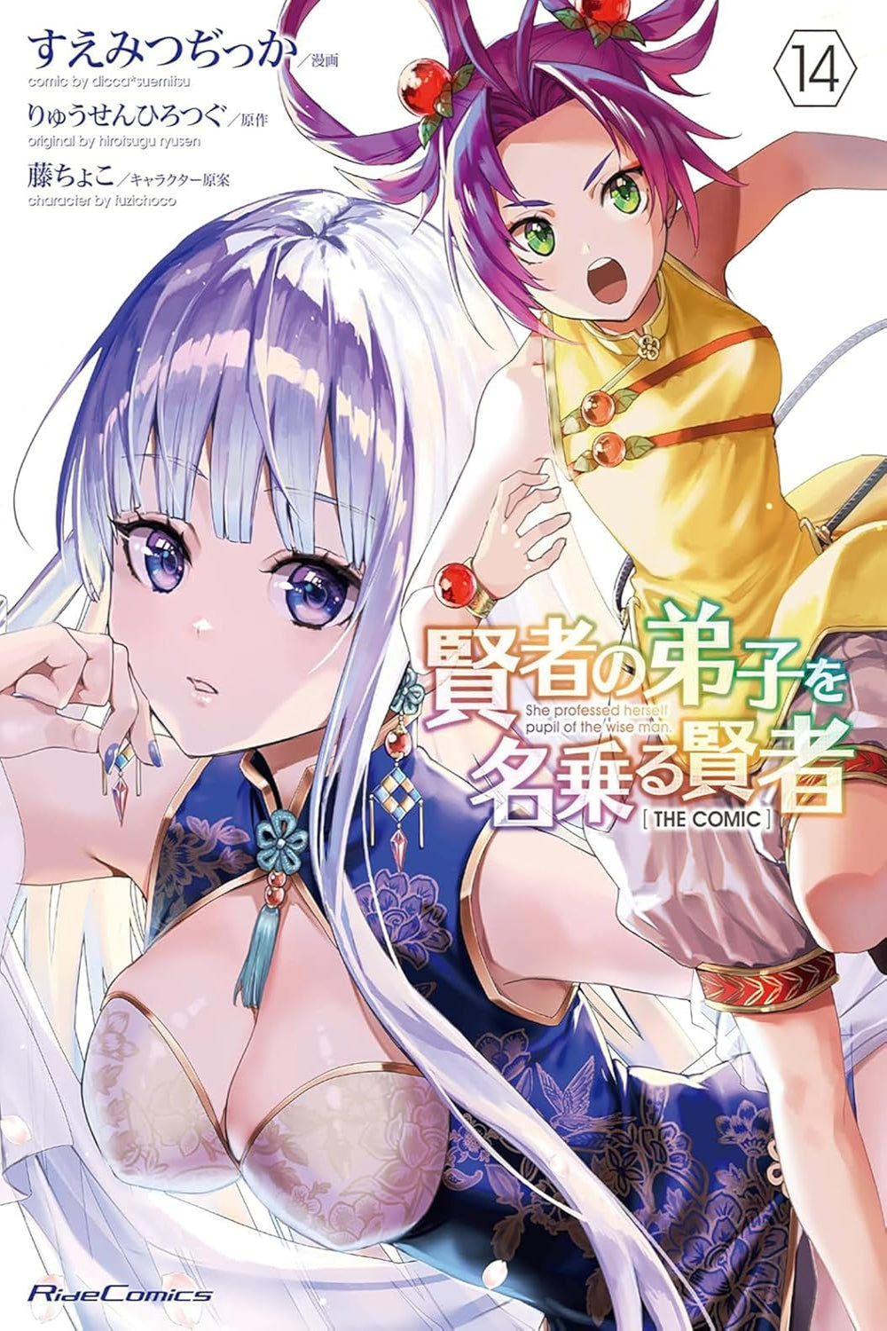 She Professed Herself Pupil of the Wise Man vol 14 (manga)