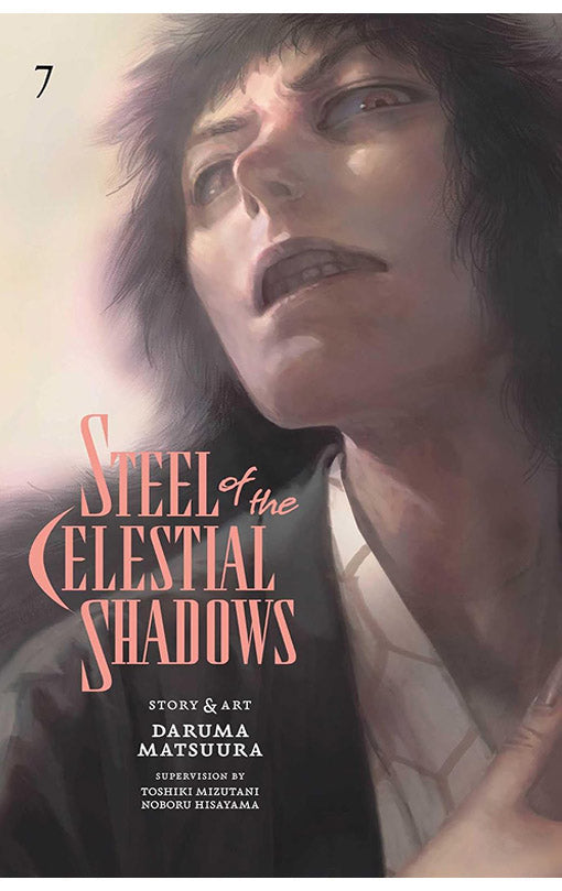 Steel of the Celestial Shadows vol 07