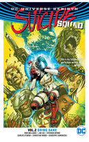 Suicide Squad vol 02 Going Sane tp