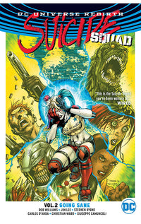 Suicide Squad vol 02 Going Sane tp