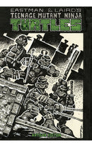 Teenage Mutant Ninja Turtles Artisan Edition HC