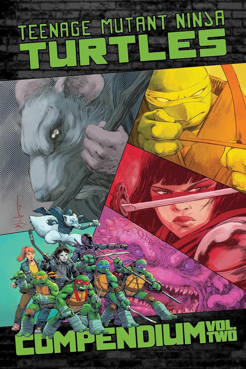 Teenage Mutant Ninja Turtles: Ongoing Compendium vol 02 tp