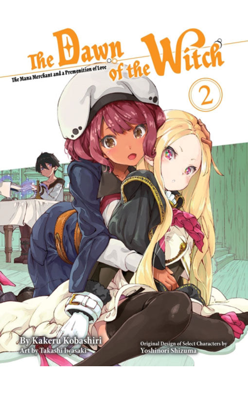 The Dawn Of The Witch vol 02 (light Novel)
