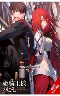 The Kept Man of the Princess Knight Light Novel vol 01