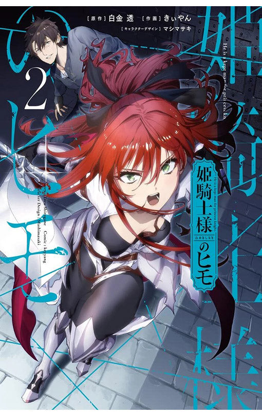 The Kept Man of the Princess Knight vol 02 (manga)