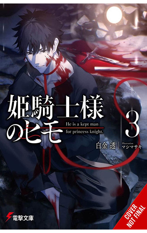 The Kept Man of the Princess Knight vol 03