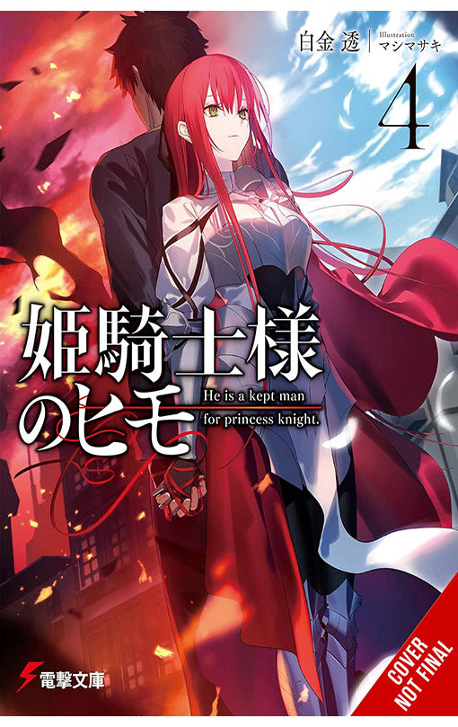 The Kept Man of the Princess Knight vol 04 (light novel)