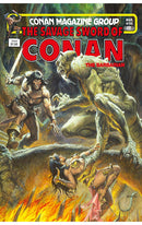 The Savage Sword of Conan The Original Comics Omnibus vol 06 hardcover