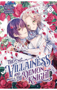 The Villainess and the Demon Knight (Light Novel) vol 03
