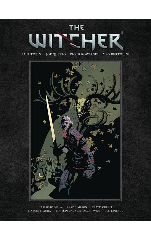The Witcher Library Edition vol 01 HC