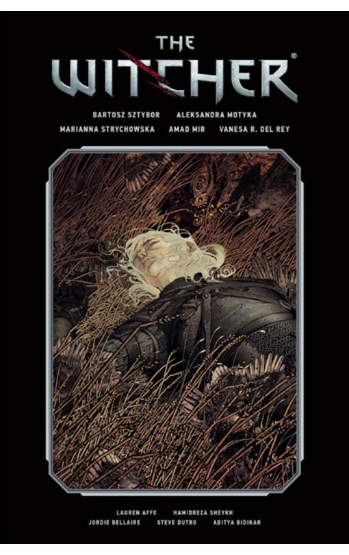 The Witcher Library Edition vol 02 HC