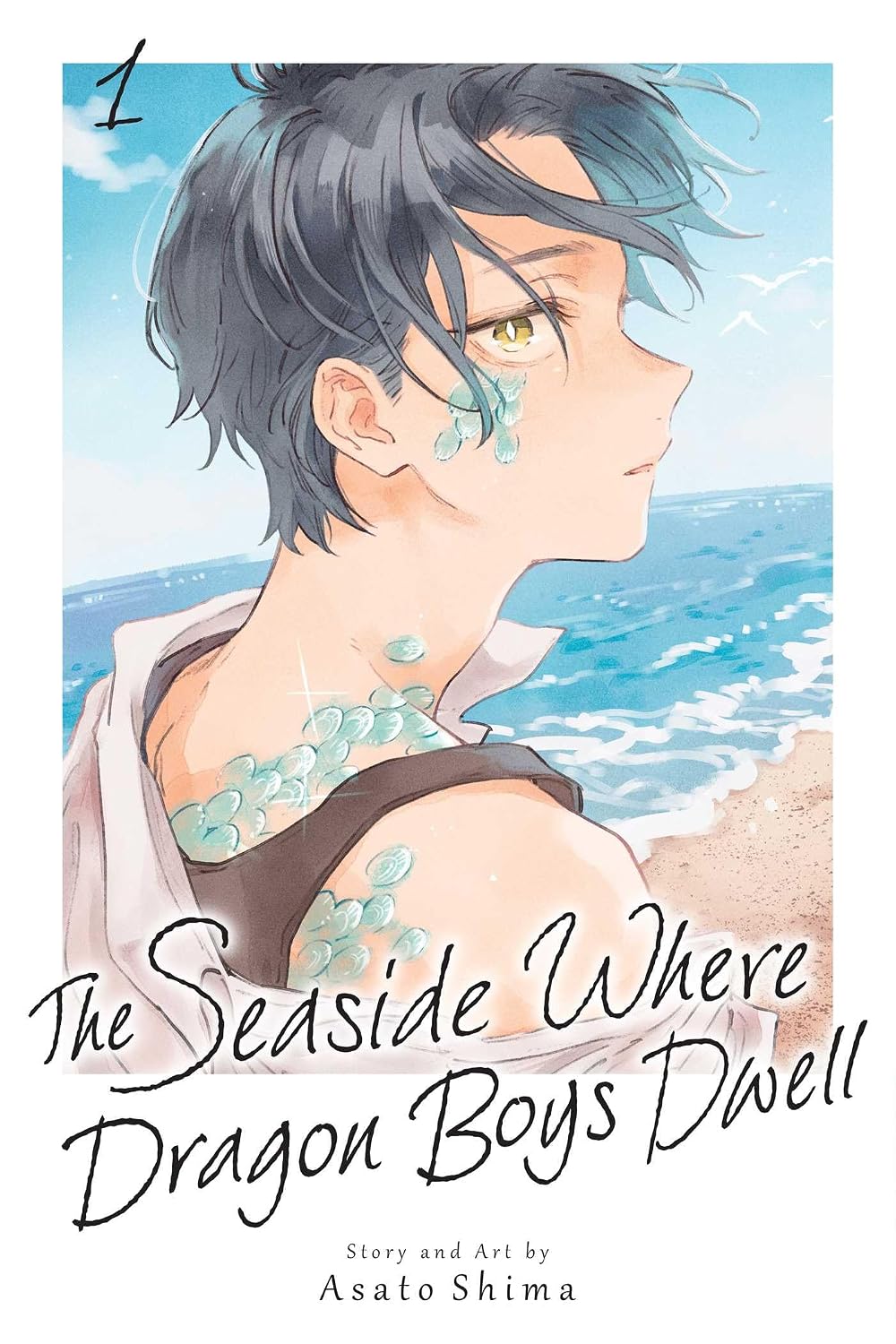 The Seaside Where Dragon Boys Dwell vol 01