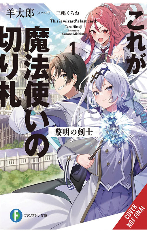This is the Wizard’s Secret Weapon vol 01 (light novel)