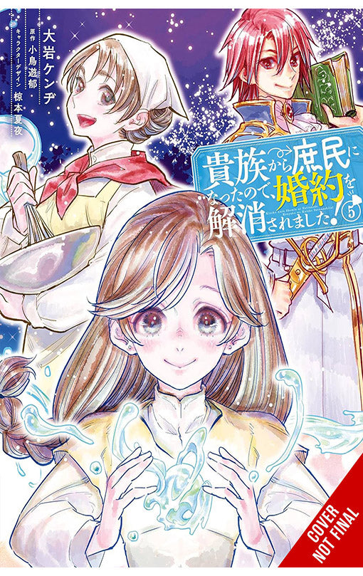 When I Became a Commoner, They Broke Off Our Engagement! vol 05