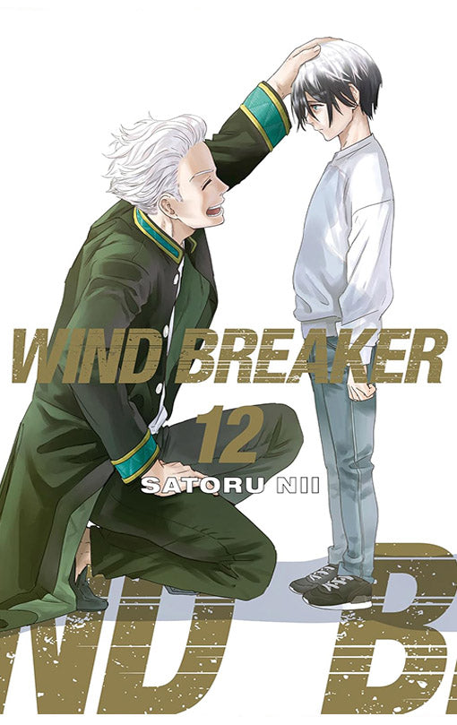 Wind Breaker vol 12